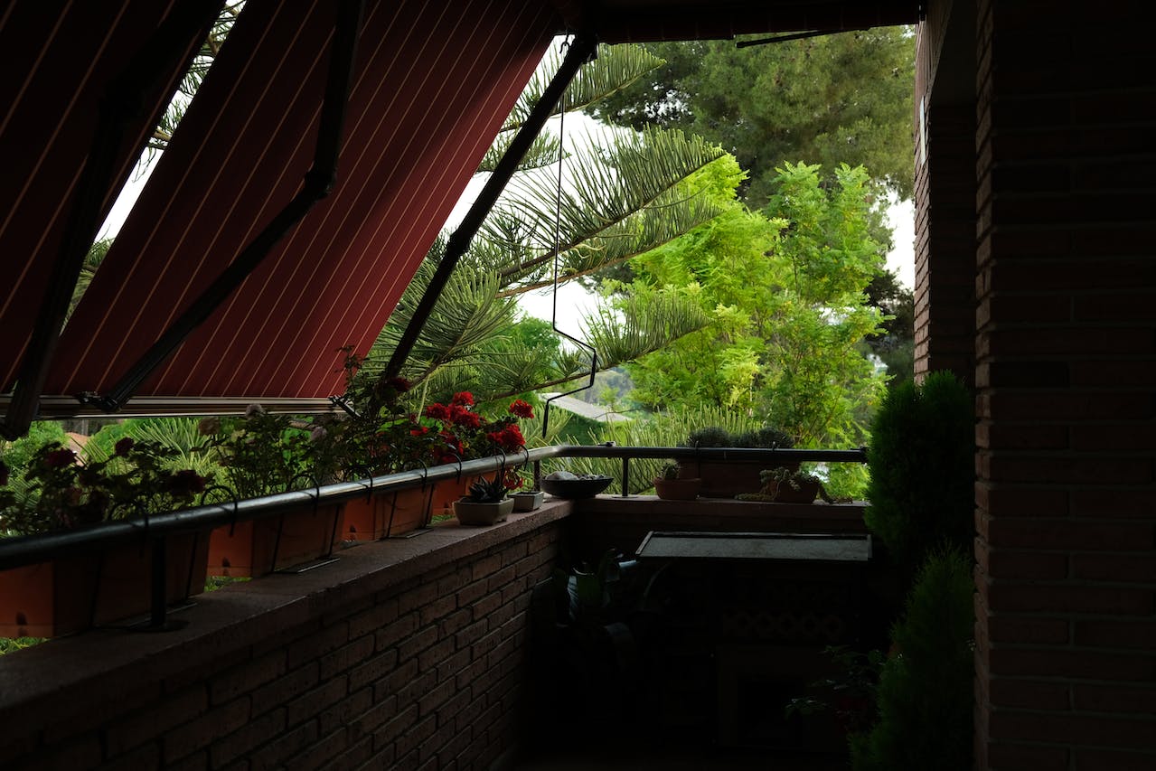 Widoczne na tym obrazku rośliny na balkonie dodają uroku i świeżości przestrzeni
