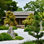 Idealne Rośliny do Ogrodu Japońskiego – Tworzymy Harmonijną Przestrzeń